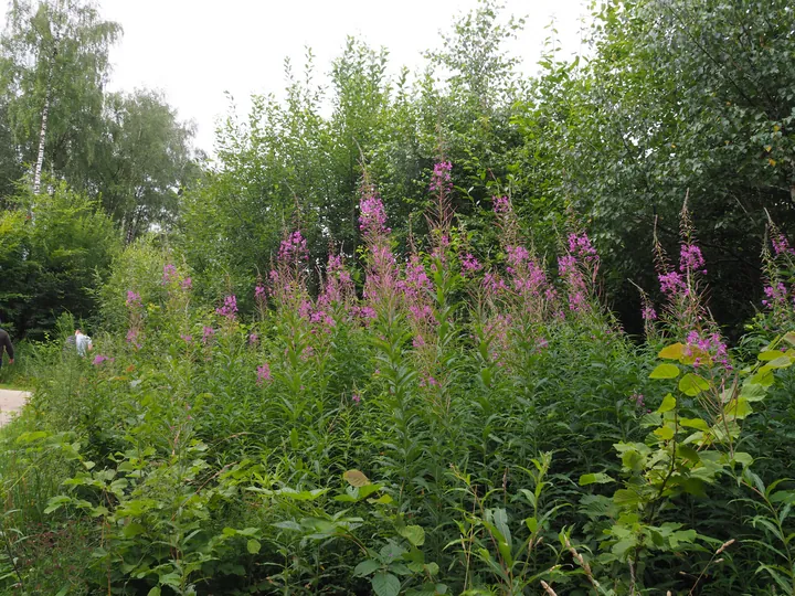 Parc Chlorophylle (Belgium)